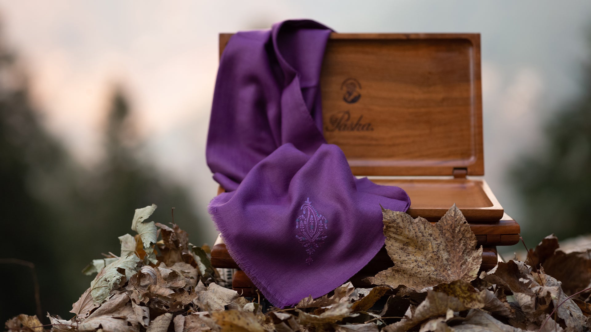 Cashmere Scarf - Alashan