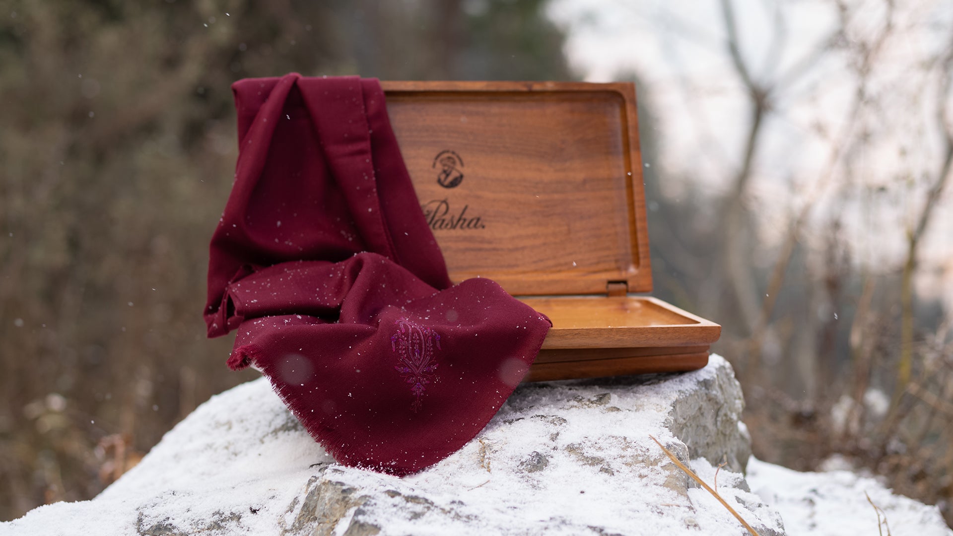 Cashmere Scarf - Alashan