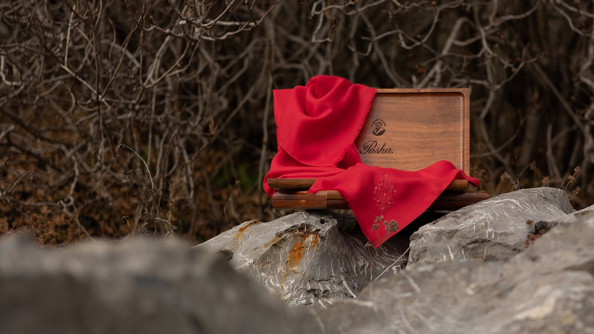Cashmere Scarf - Alashan