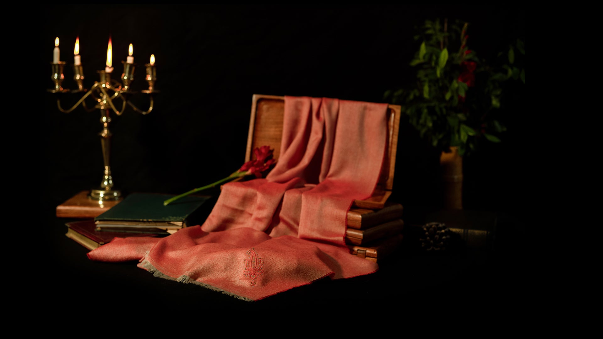 Cashmere Scarf - Cashmere & Silk