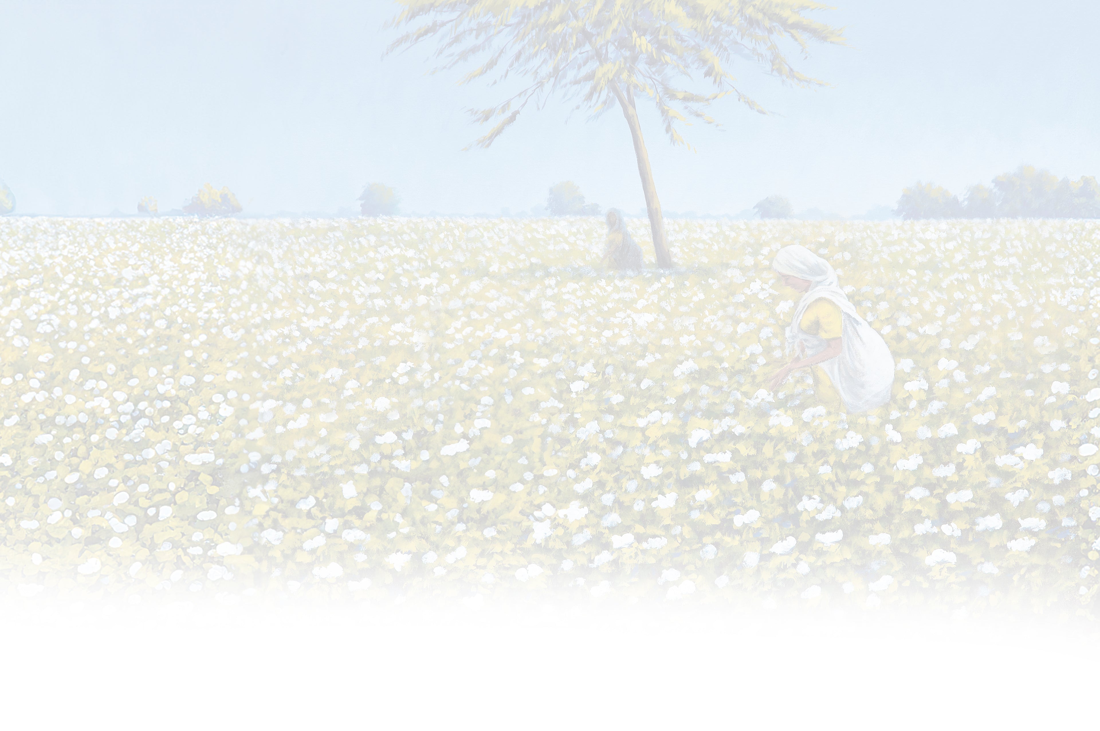 Solitaire master_bg